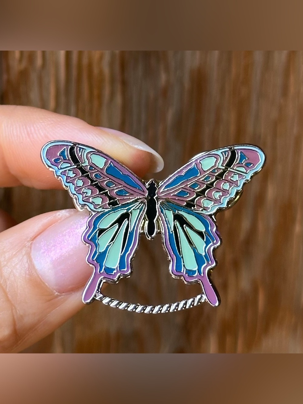 Enameled Butterfly Pin